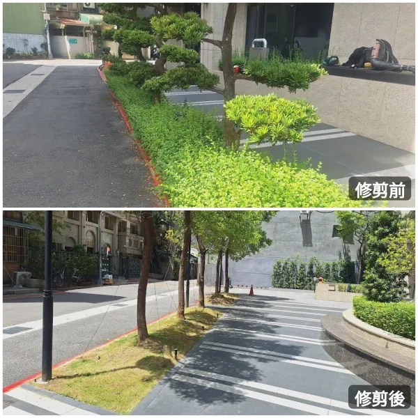 ＃文山區園藝修剪