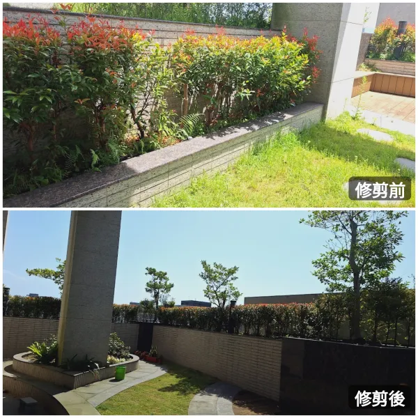 ＃文山區園藝修剪