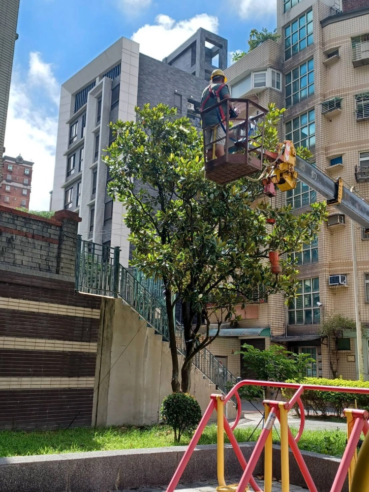 高空鋸樹修剪｜庭園維護、社區園藝保養、大樓園藝保養