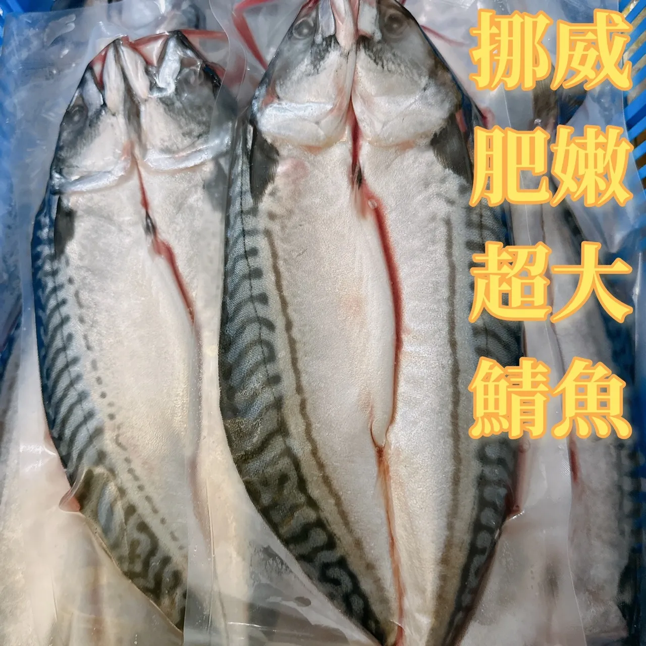 挪威薄鹽鯖魚一夜干 肥嫩好滋味