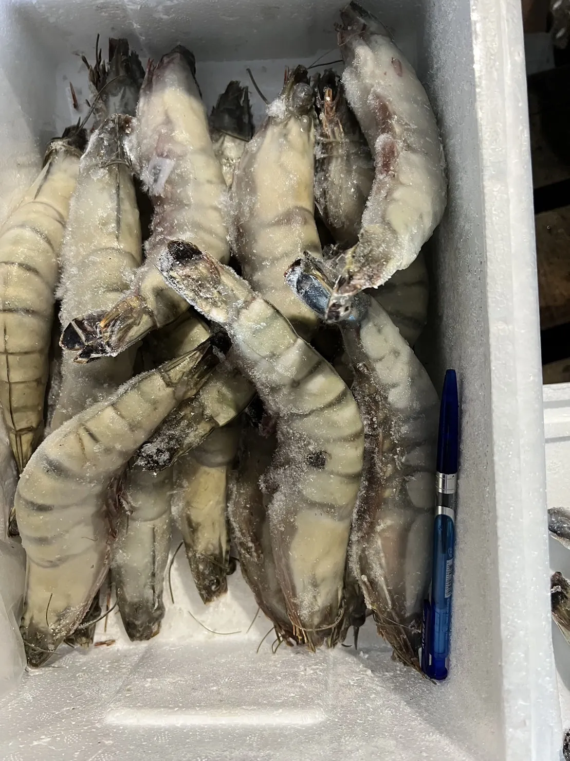 野生超大海虎蝦 肉質鮮甜 Q彈美味