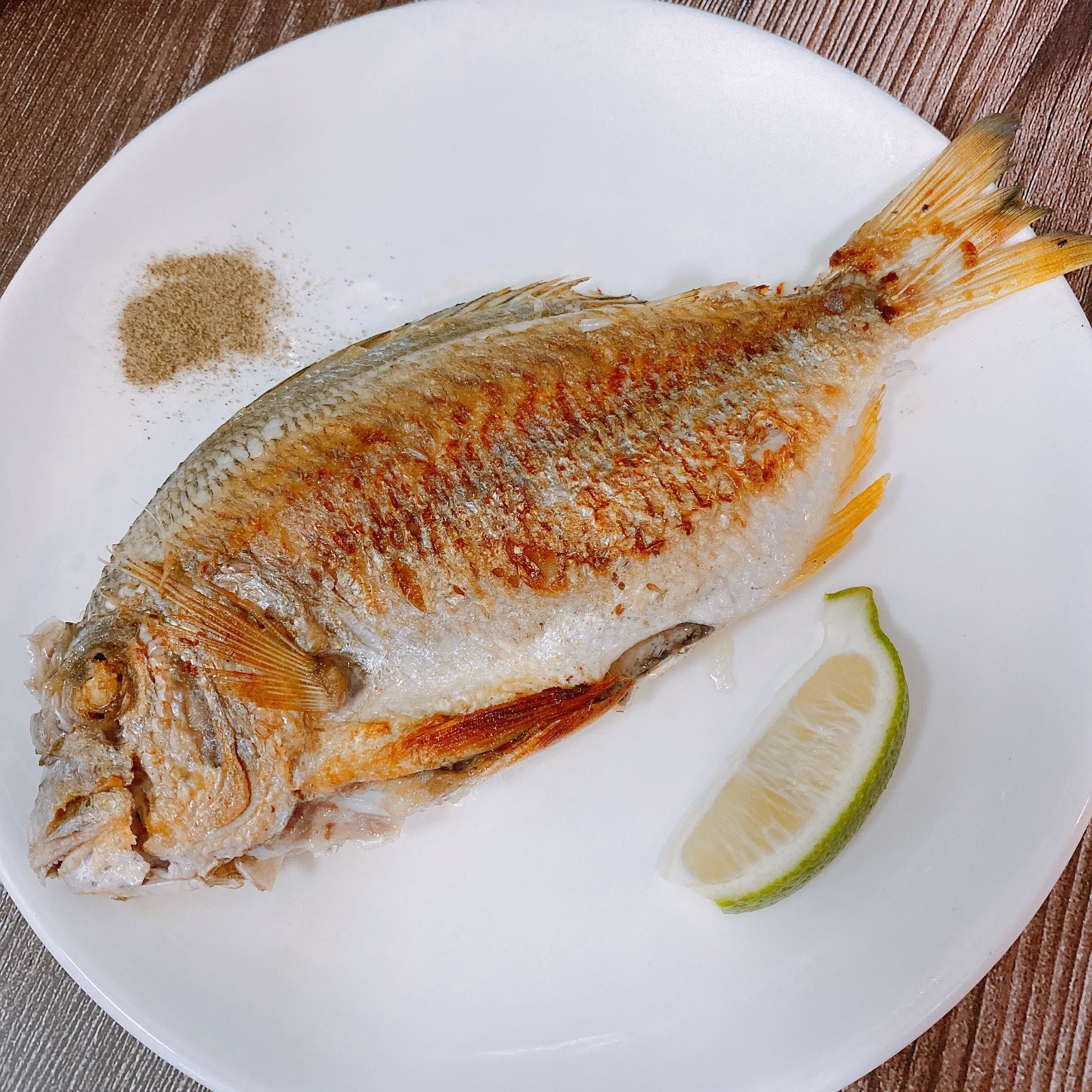 澎湖海釣邦頭魚(枋頭魚 黃錫鯛) 肉質鮮甜 