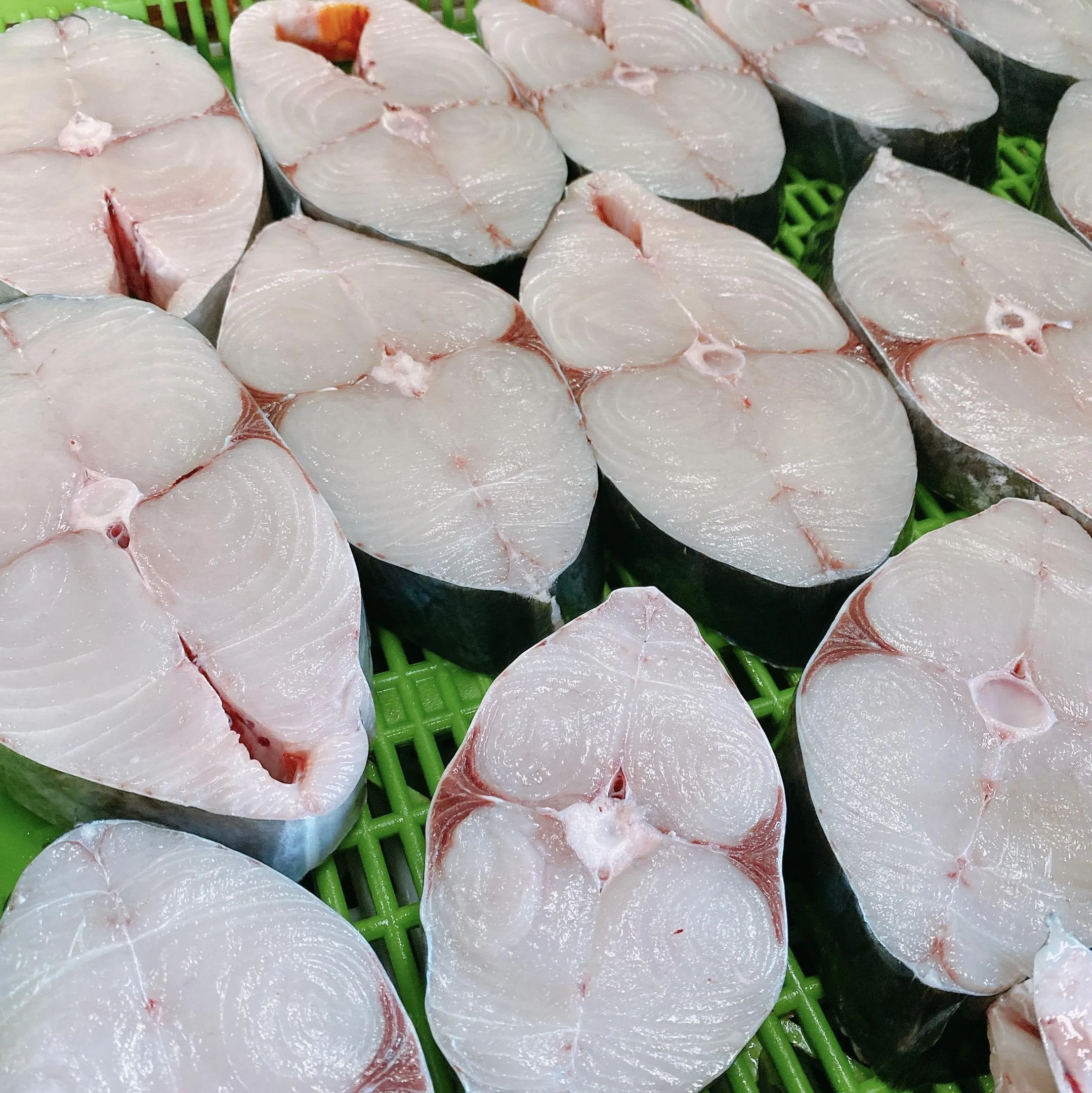 澎湖 現流土魠魚片(小家庭魚片組) 香煎肥嫩好吃 單片真空 一餐剛好