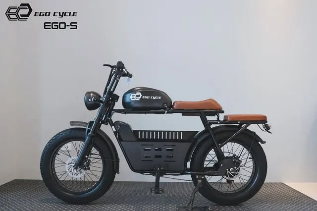 EGO-S 有了閃電標章上路更安心、通勤更自在【台南電動車】【台南電動腳踏車推薦】