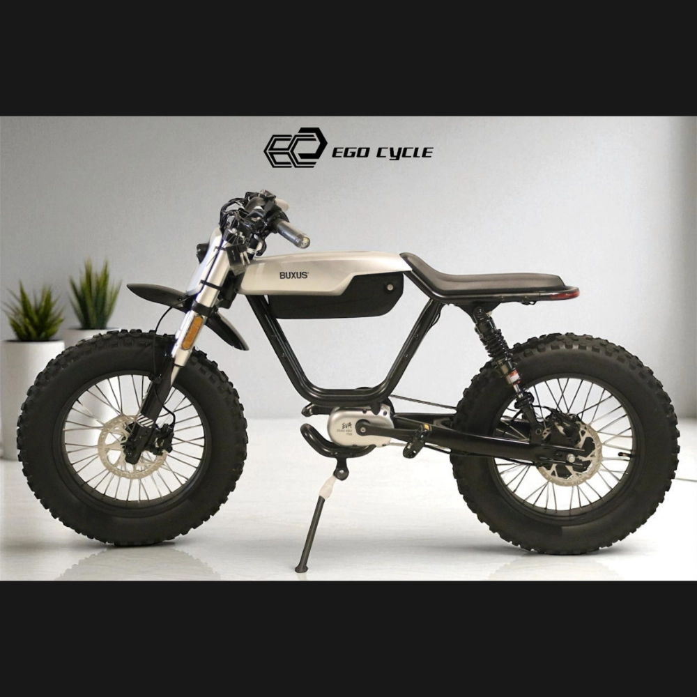 EGO-EVA｜電輔車｜電動自行車