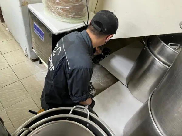餐廳消毒&鼠害防治