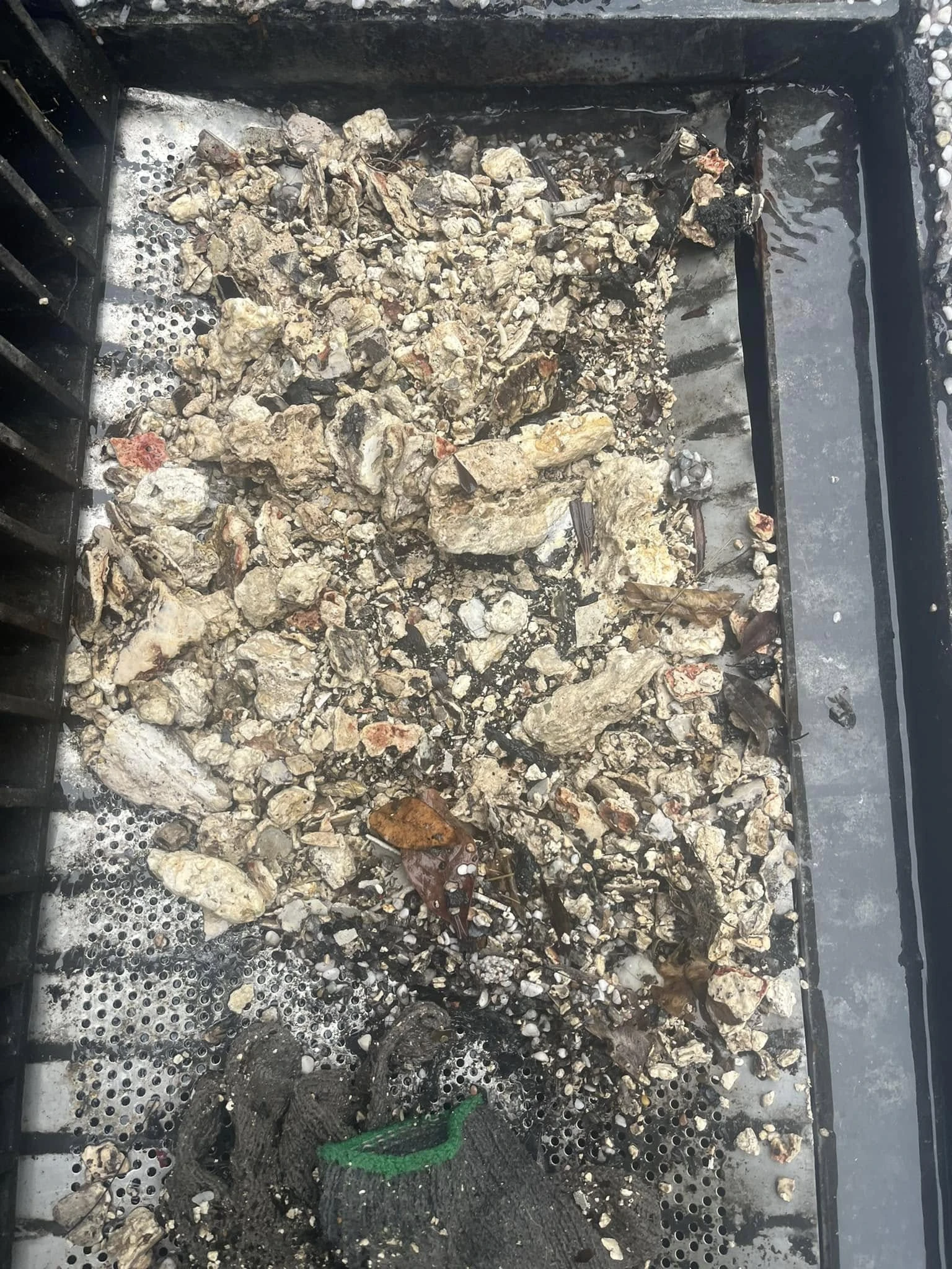 永康區 自強路 #疏通排水管 #水刀通管