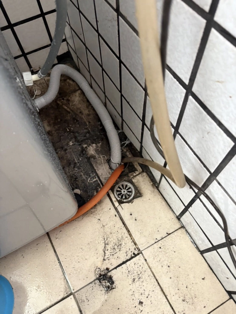 疏通排水管+更換開關
