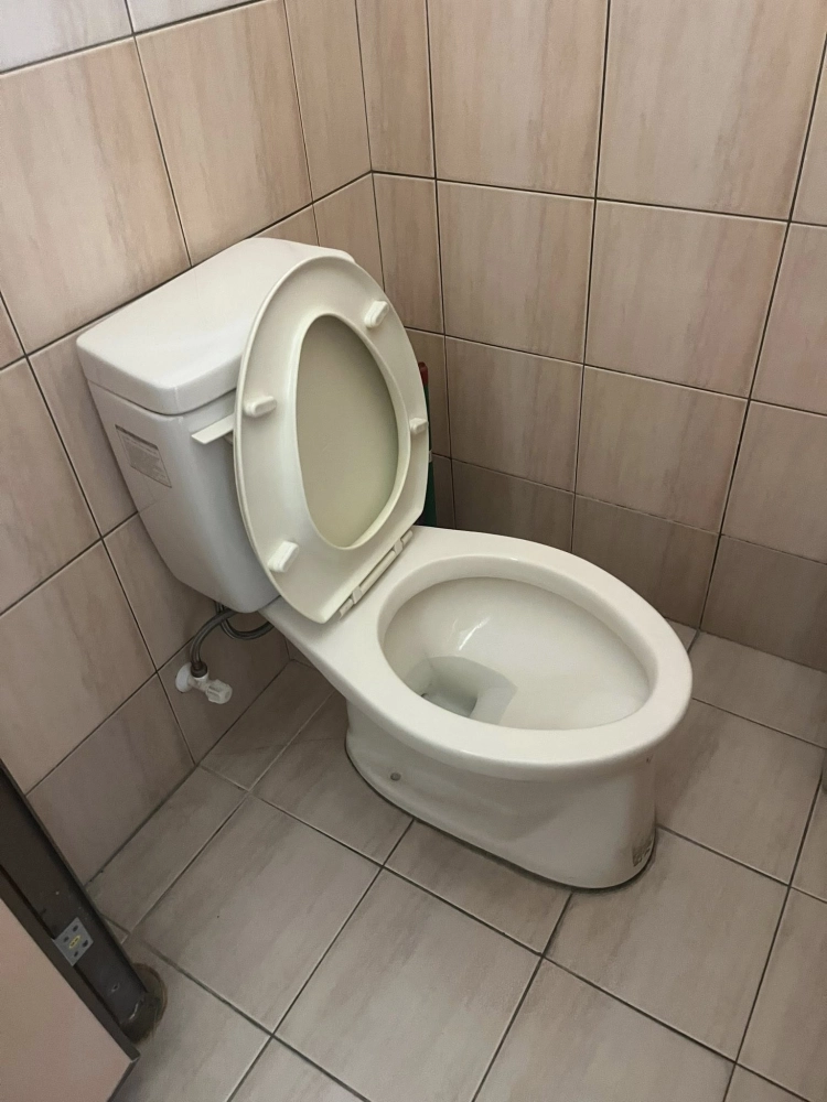 安裝馬桶