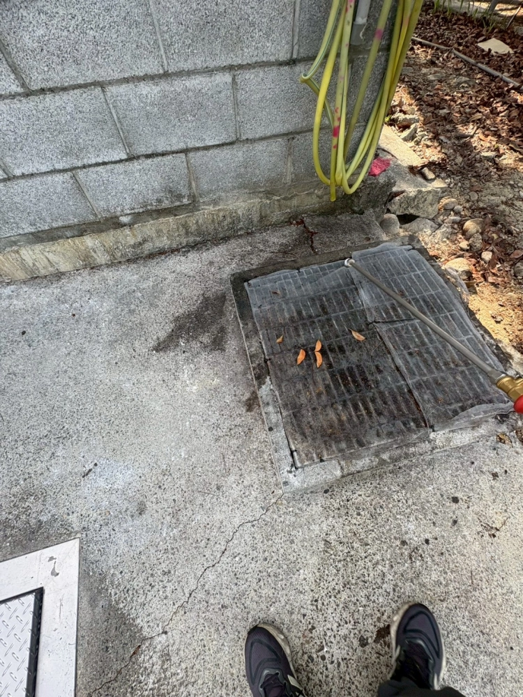 軍隊部隊伙房餐廳病媒防治