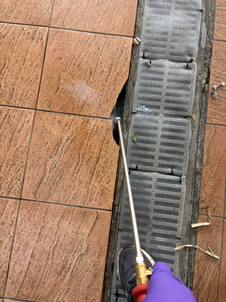 軍隊部隊伙房餐廳病媒防治