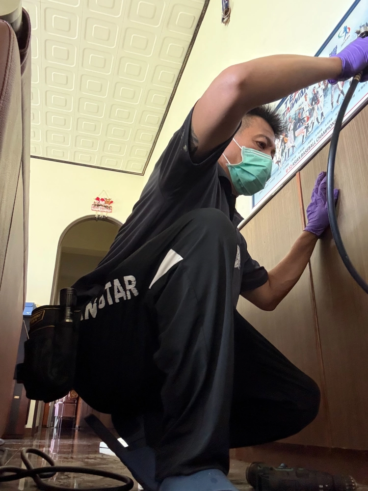 白蟻防治