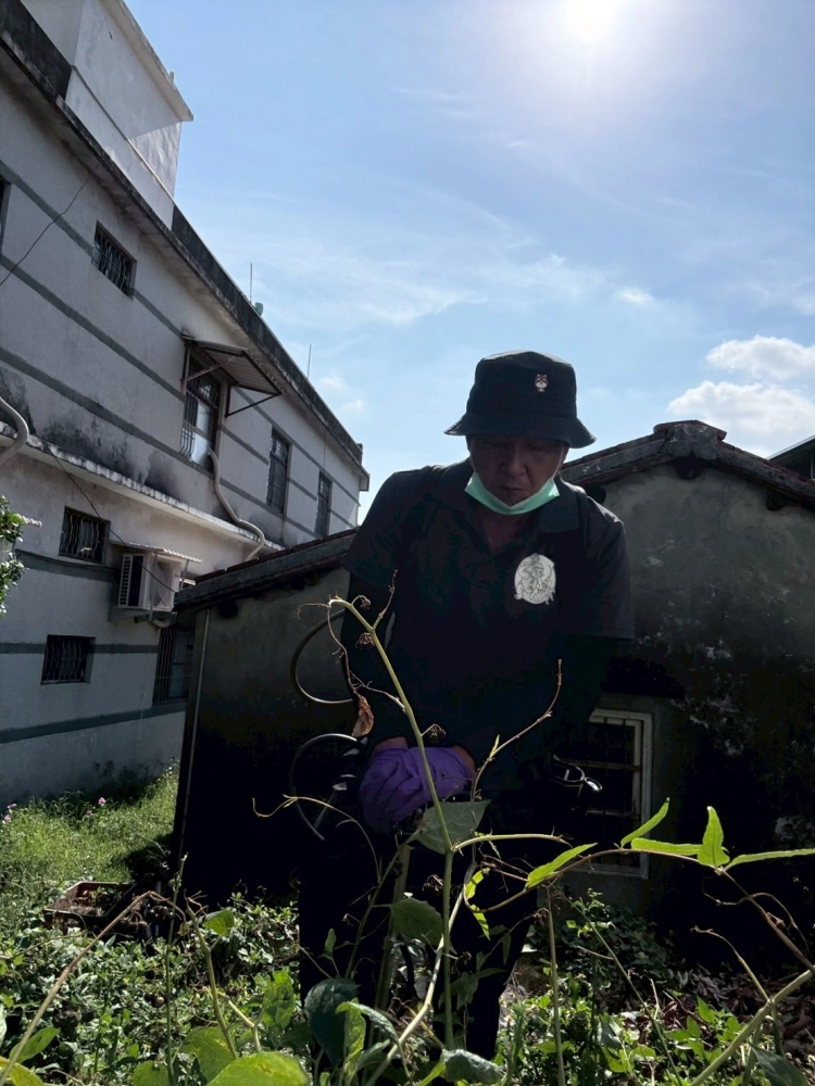琉璃蟻 家蟻防治 土壤灌注防治