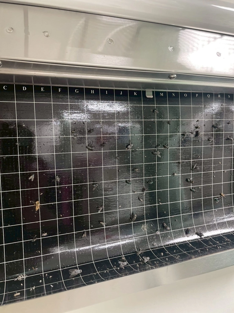 餐廳、中央廚房、內外捕蟲燈(黏紙式、電擊式)