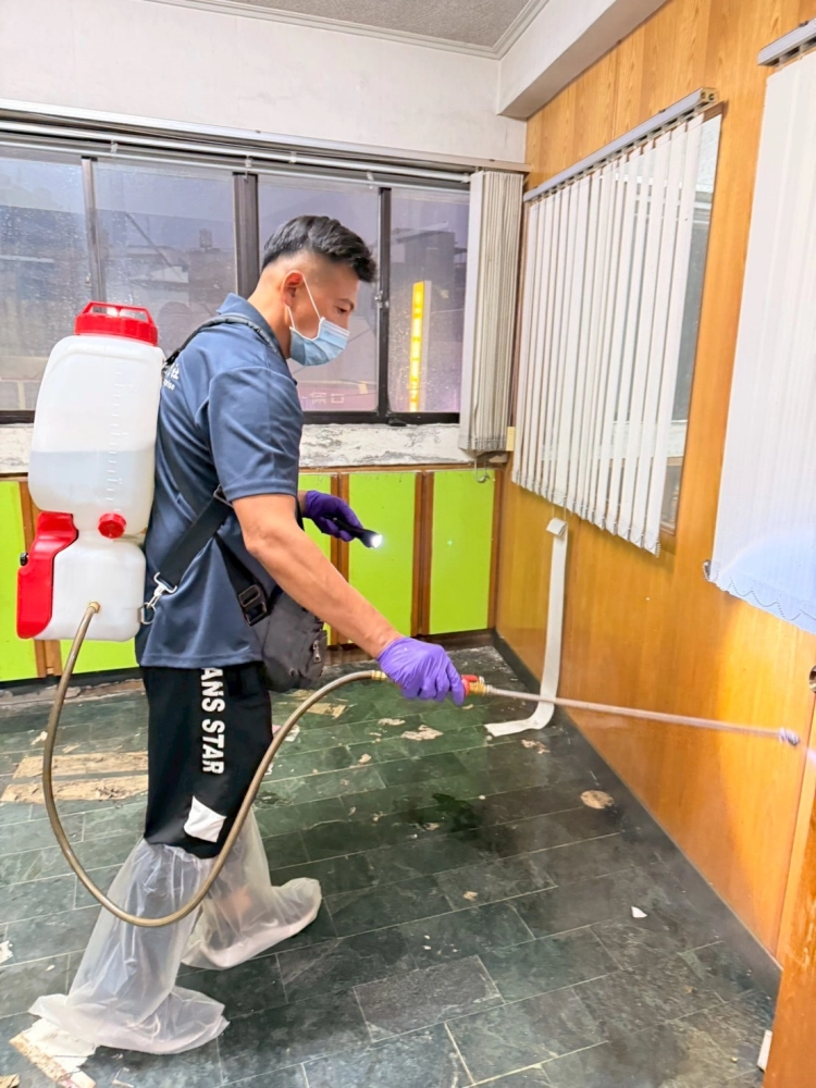 除屍臭異味處理