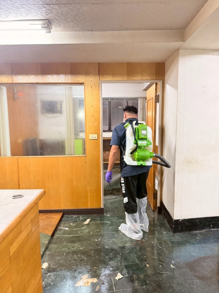 除屍臭異味處理