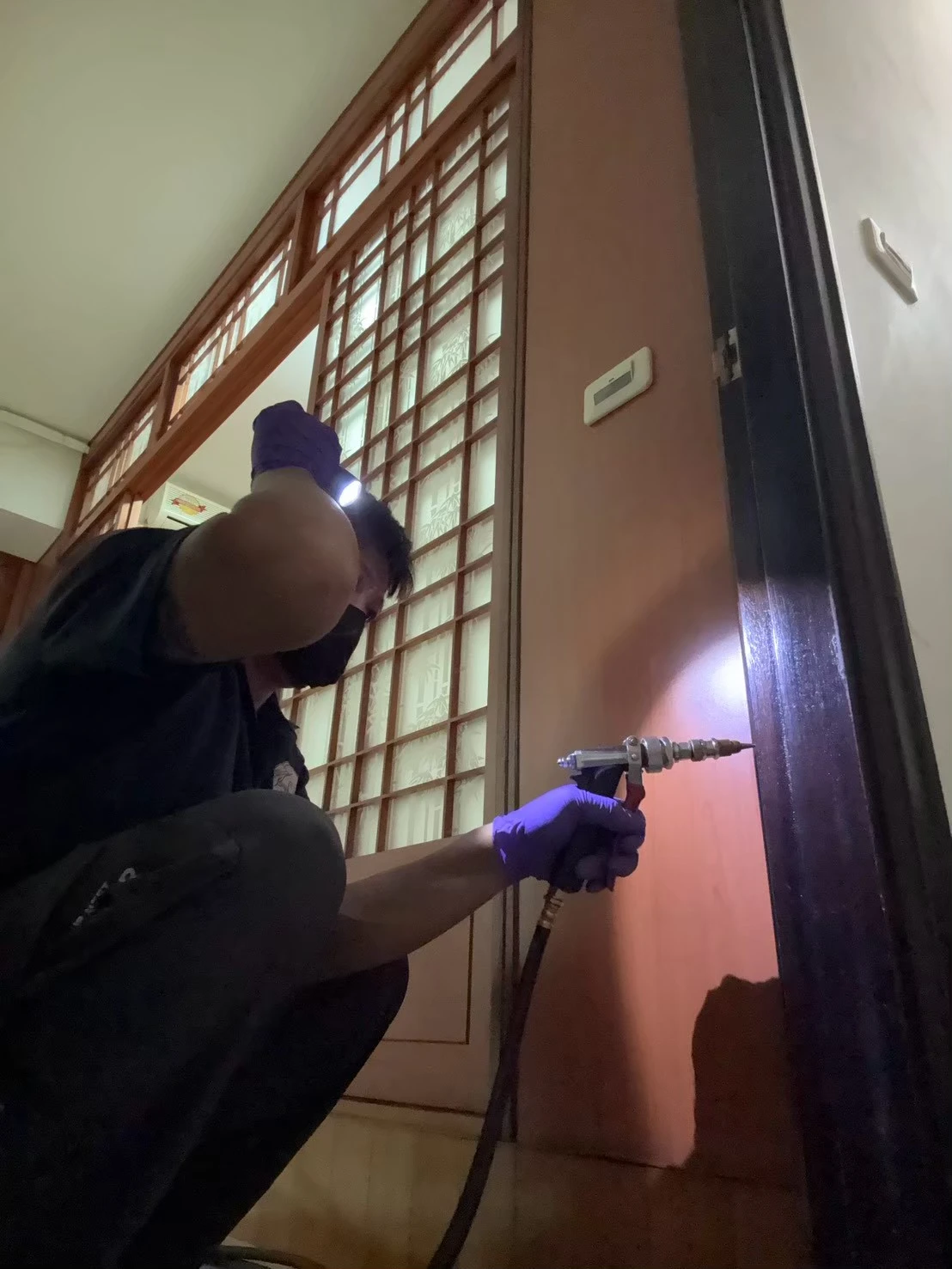白蟻防治