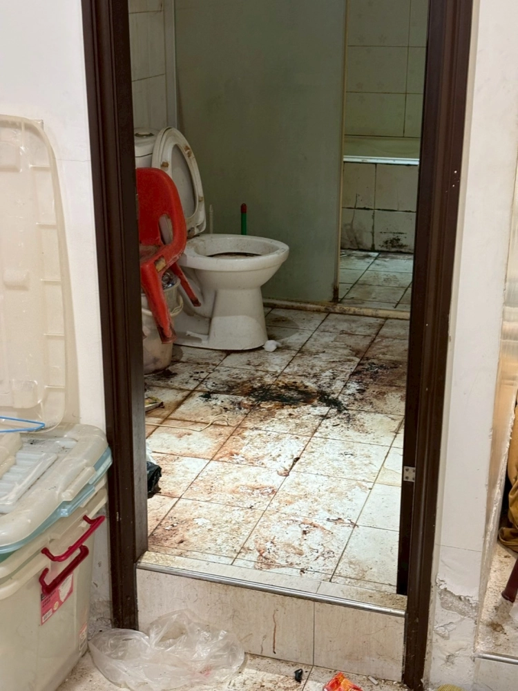 除屍臭異味處理