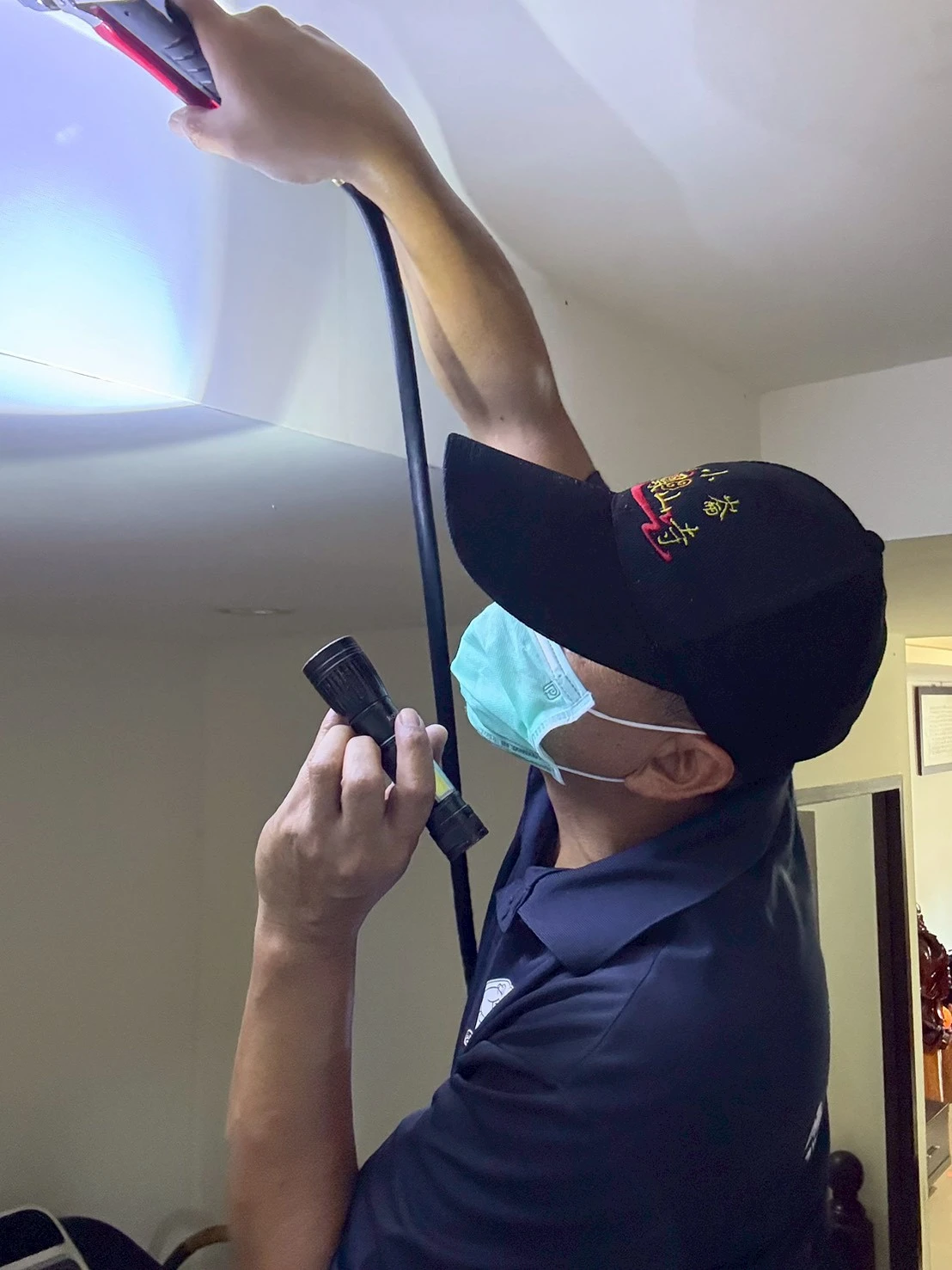 白蟻防治