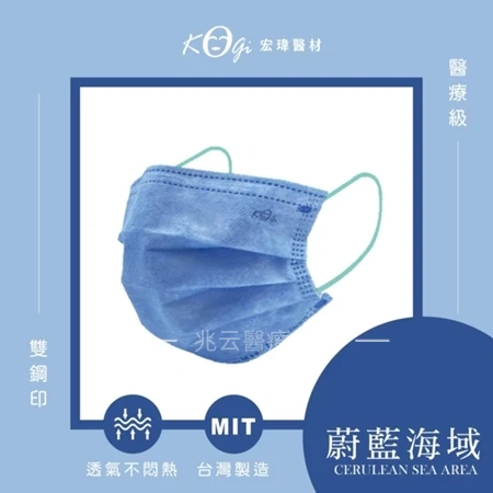 宏瑋 大人平面口罩