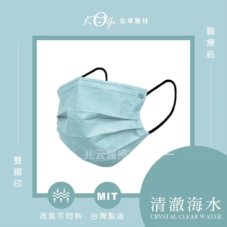 宏瑋 大人平面口罩