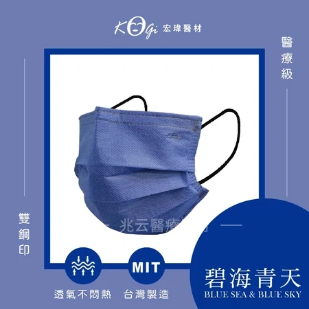 宏瑋 大人平面口罩