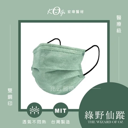 宏瑋 大人平面口罩