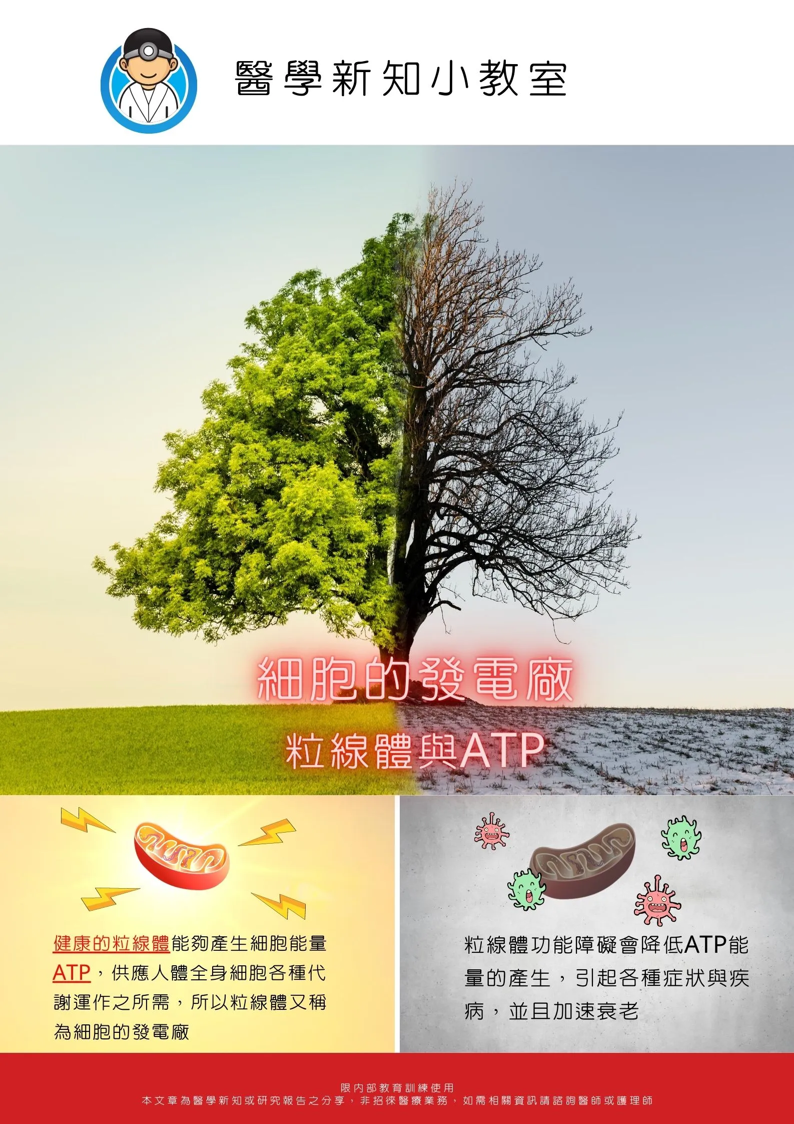 07. 靜脈雷射疼痛治療
