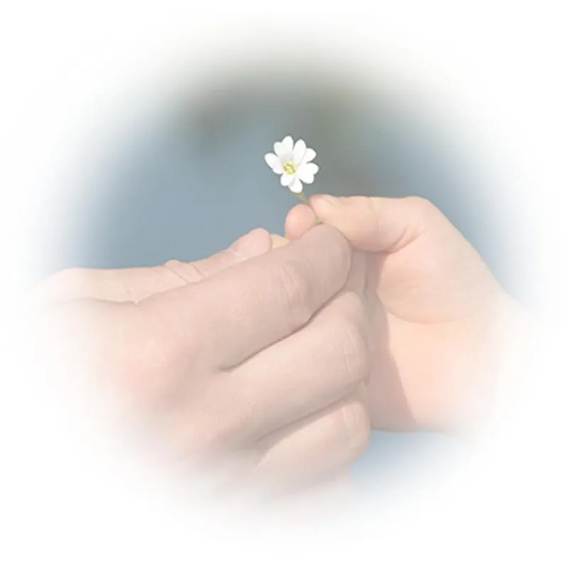 喪禮百貨會不會亂開價？要怎麼避免被坑？