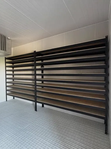 宗澄案例分享｜冷凍櫃倉儲貨架