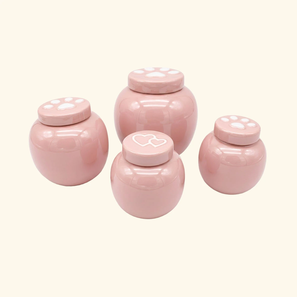 20kg↓｜柔光念念