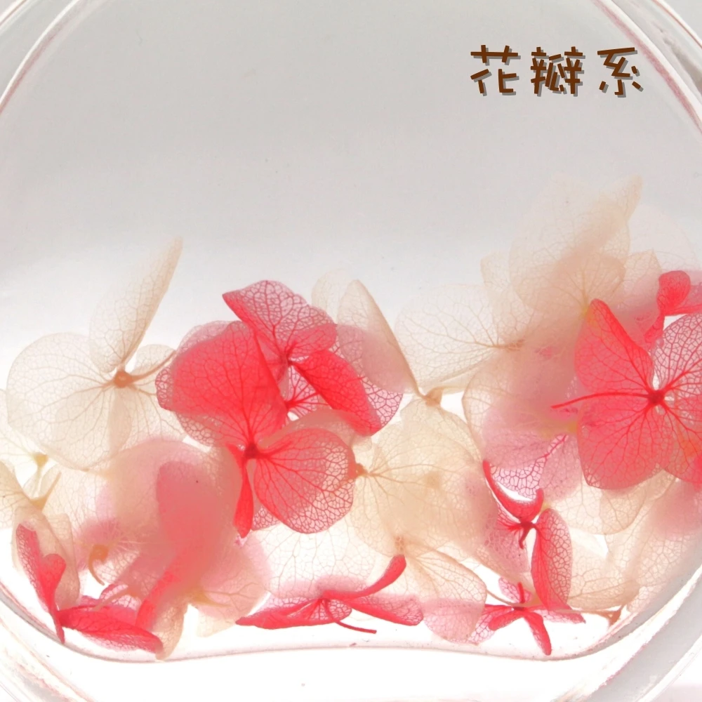 永生浮游花瓶