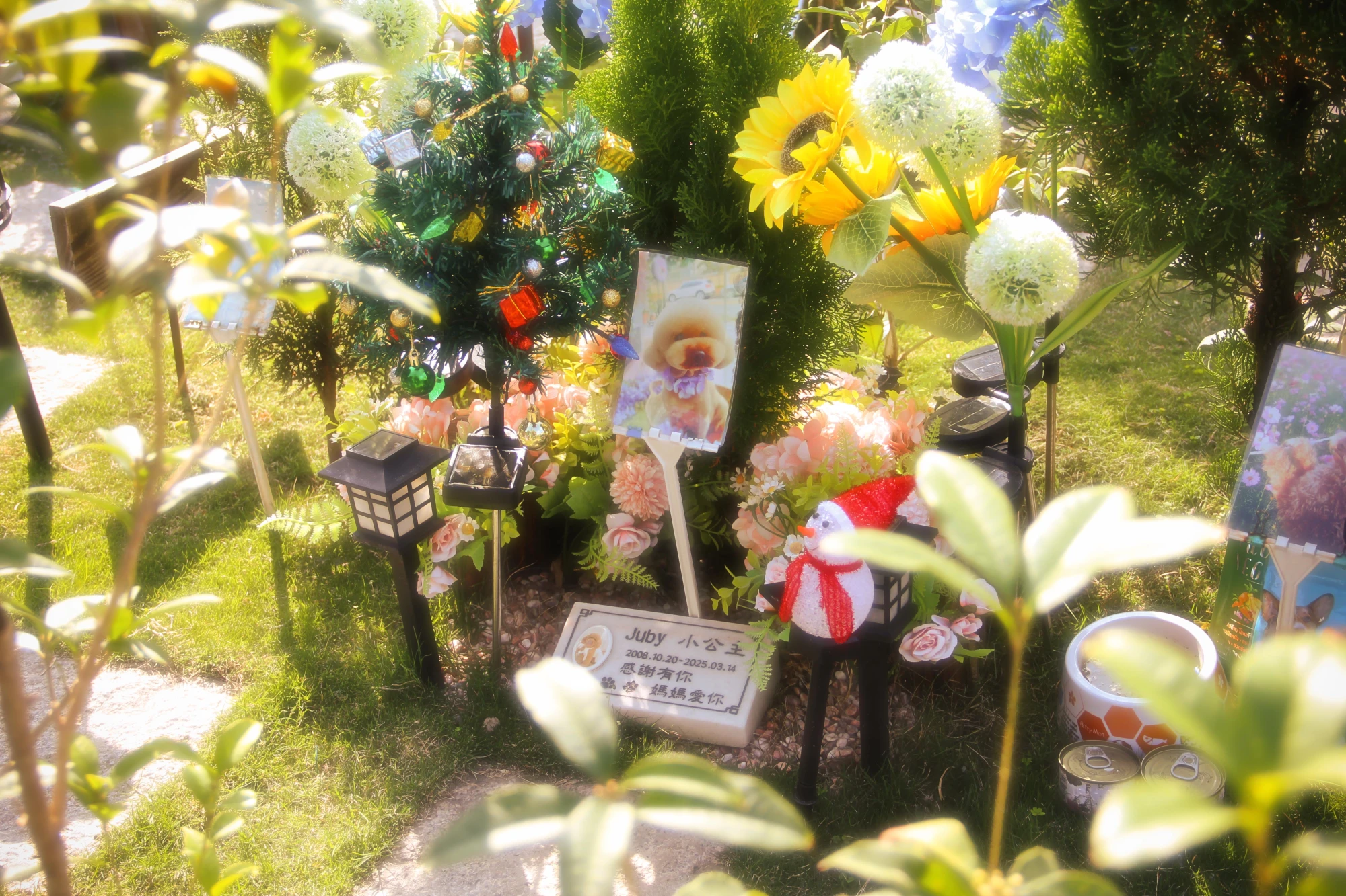 個別花樹葬