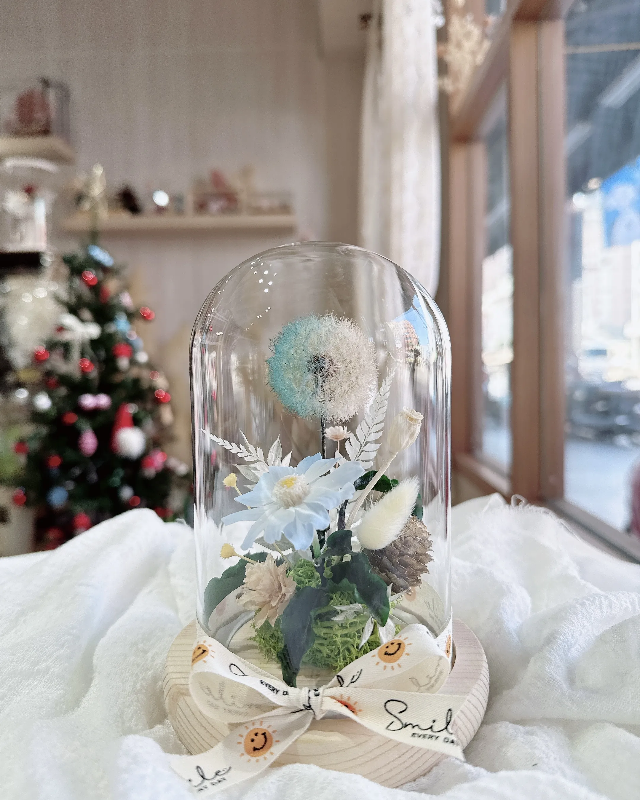 (現貨)小玻玻與蒲公英