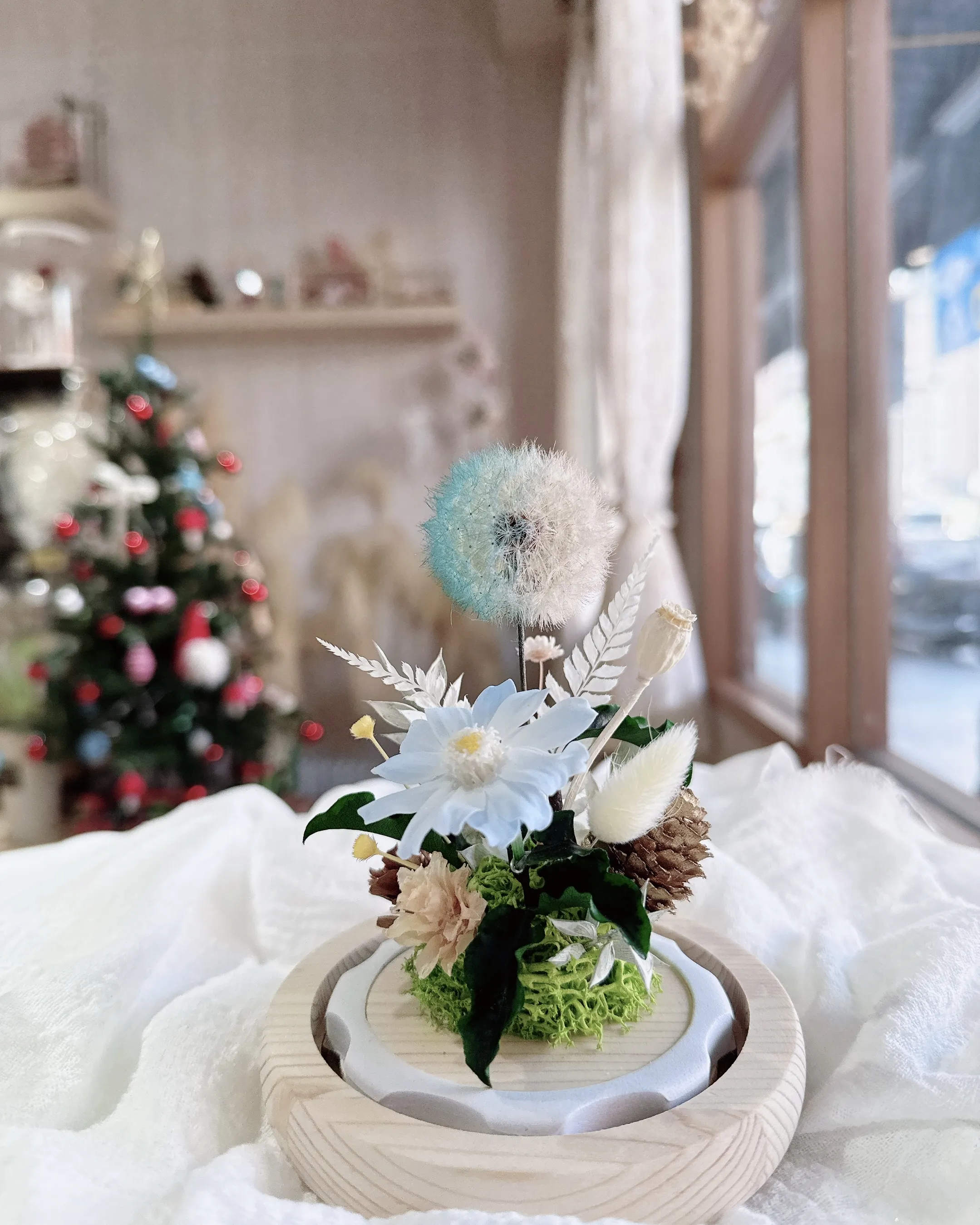 (現貨)小玻玻與蒲公英